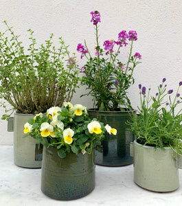 urban jungle flower pots in  grey  and green  large and  medium 